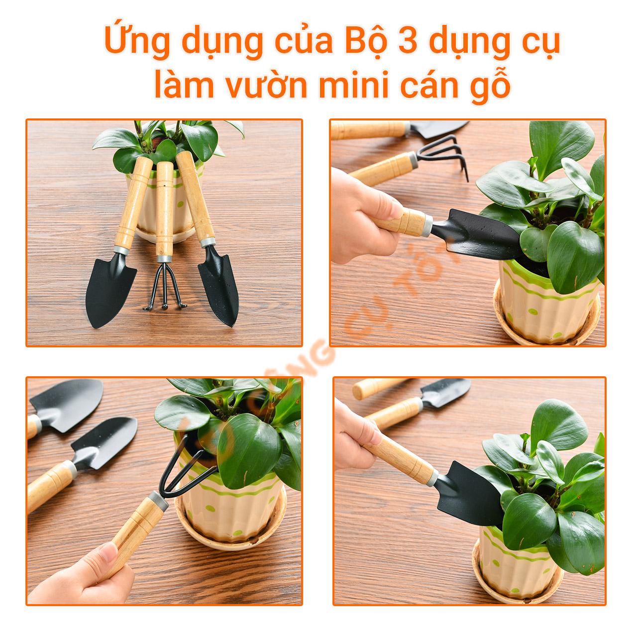 Bộ 3 món dụng cụ làm vườn mini