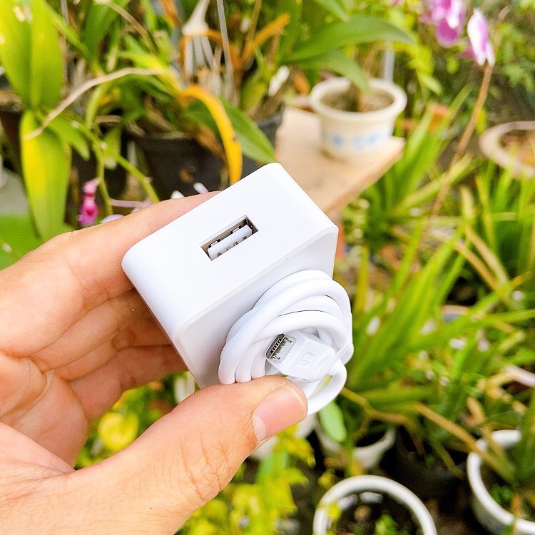 [HCM]Bộ sạc xịn Oppo Ak 717