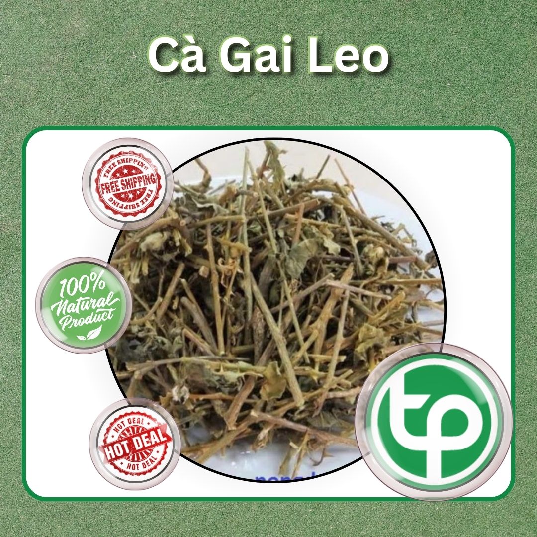 Cà gai leo khô 500g - Hỗ trợ thanh nhiệt và giải độc - Làm mát cơ thể - Hàng sạch xanh giá tốt - Thảo Dược Tấn Phát