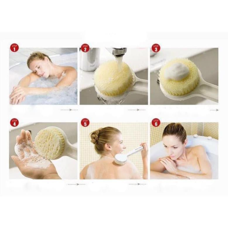 Cây Cọ Lưng Bông Tắm Muji