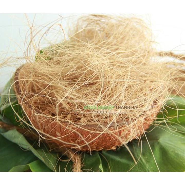Sợi xơ dừa rối trồng lan - Gói 200g