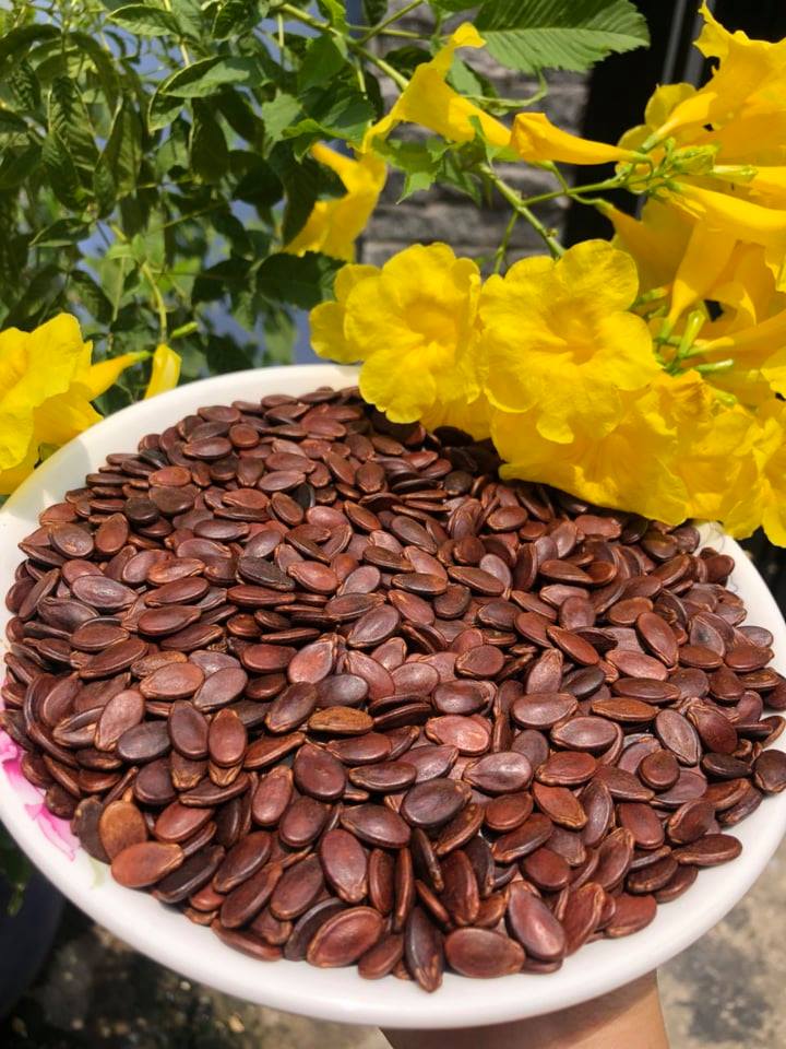 Hạt Dưa Loại 1 Không Màu - An Toàn Sức Khỏe 250G