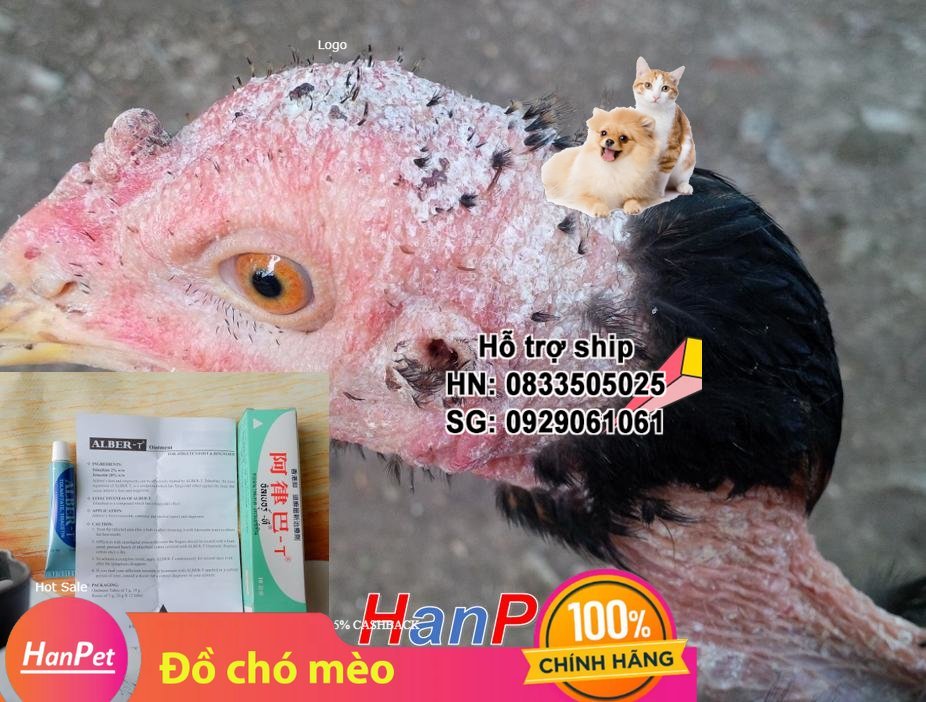 Hanpet - (Thu ốc GÀ CHỌI) ALBER-T nấm gà, mốc gà chọi, Thu ốc lác gà đá nấm chó và nấm mèo dạng tuyp bôi 10gr MADEIN THAILAND
