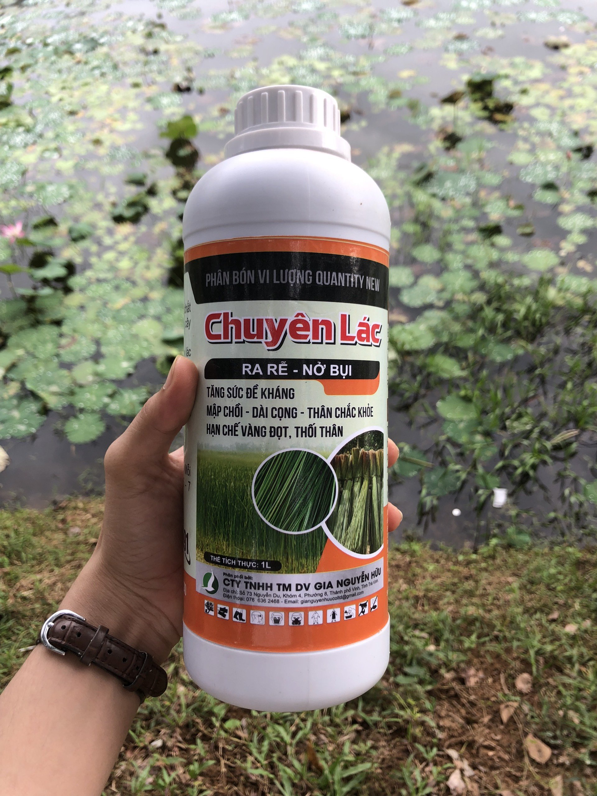 Ra rễ, nở bụi, hạn chế vàng lá, thối thân - chuyên lác 1 lít