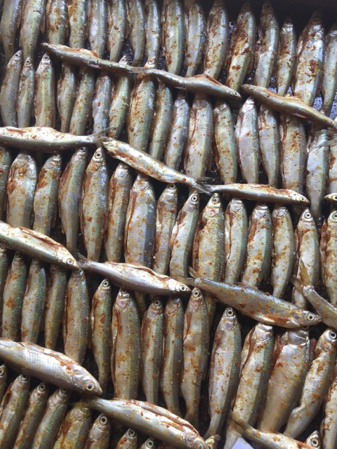 cá mương hồ thác bà-1kg