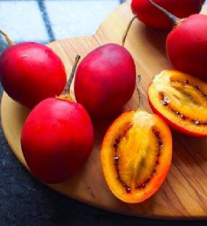 Hạt giống cà chua thân gỗ Tamarillo ( 10 hạt/gói )
