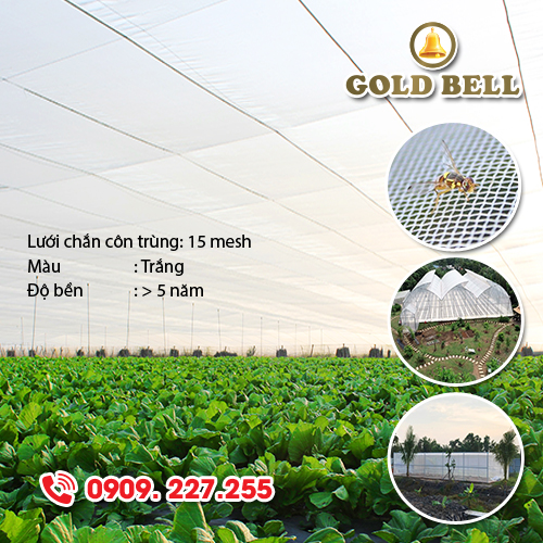 Lưới chắn côn trùng 15mesh Lưới Thái Việt