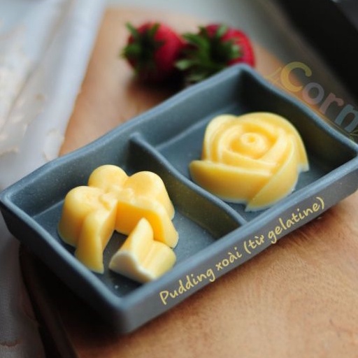 Bột Gelatin hữu cơ RUF Đức