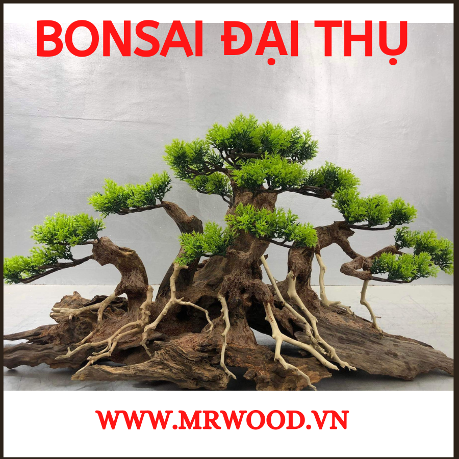 Lũa layout đại thụ cho bể cá cảnh- Xưởng Lũa Mr Wood