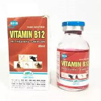 Vitamin B12 cho hoa lan, cây cảnh 20ml