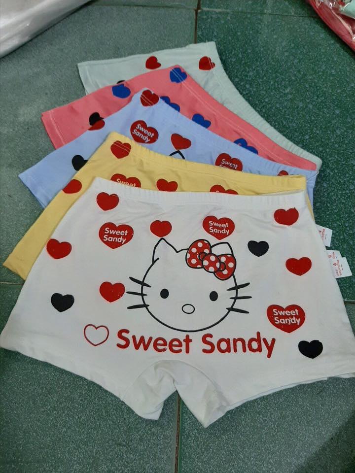 [HCM]Combo 5 quần lót bé gái size 5 từ 20-22kg