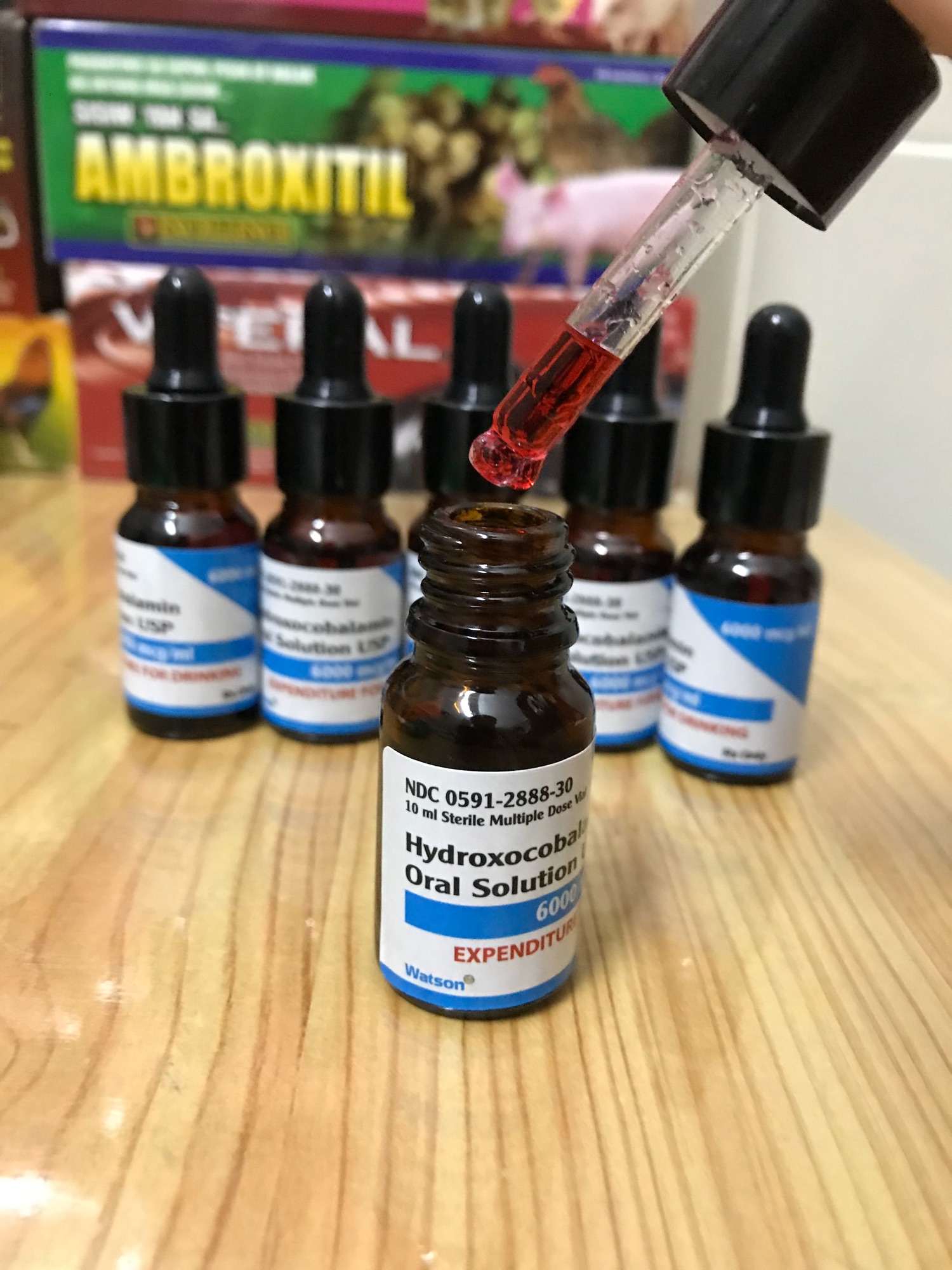 B12 Nhân Sâm 20 ml