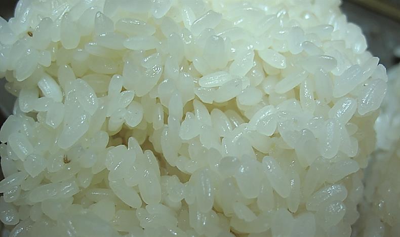 1kg NẾP CÁI HOA VÀNG LOẠI ĐẶC BIỆT