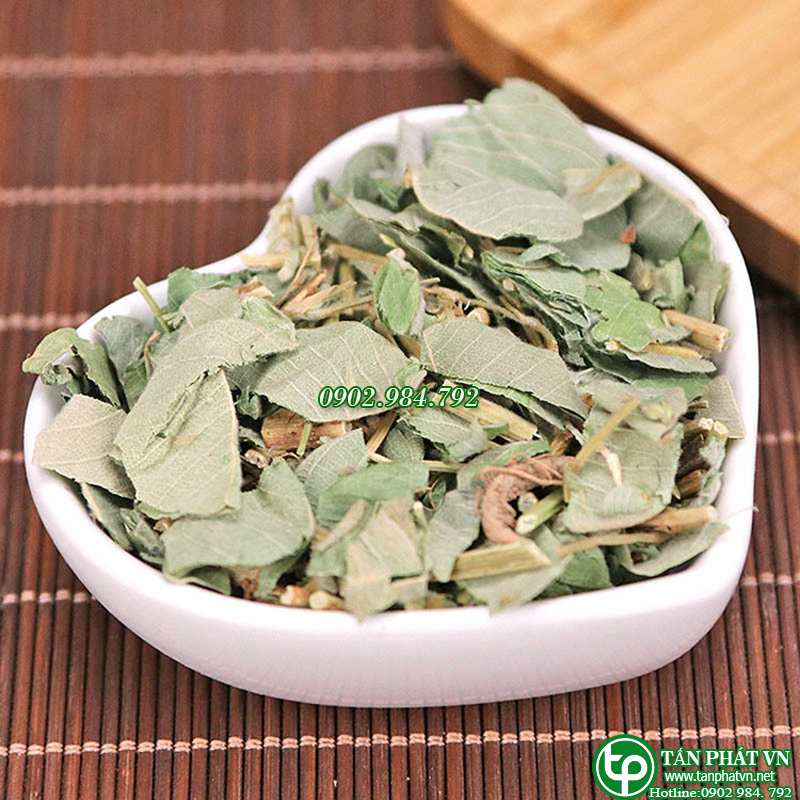 [Túi lớn loại 1kg] Kim tiền thảo dược Tấn Phát - chuyên dùng để pha trà thanh nhiệt và giải độc