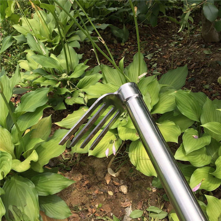 Cuốc cầm tay inox 39cm