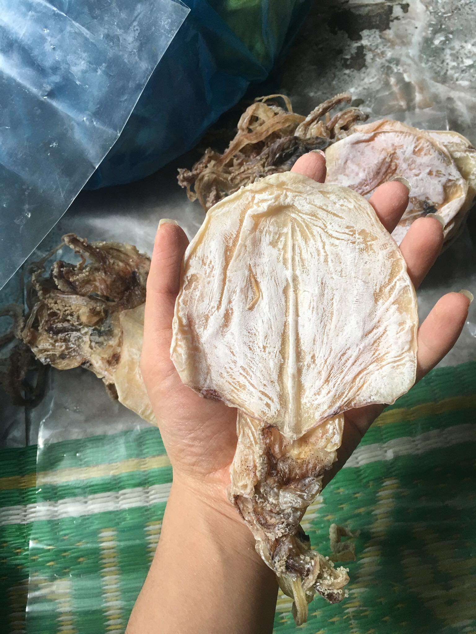 Combo 7 con mực khô ngon bằng bàn tay