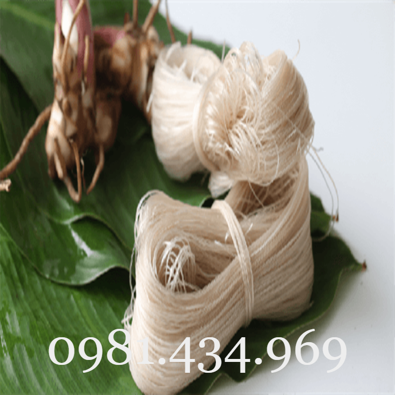 Cây mắc cỡ ( xấu hỗ ) phơi khô 500g
