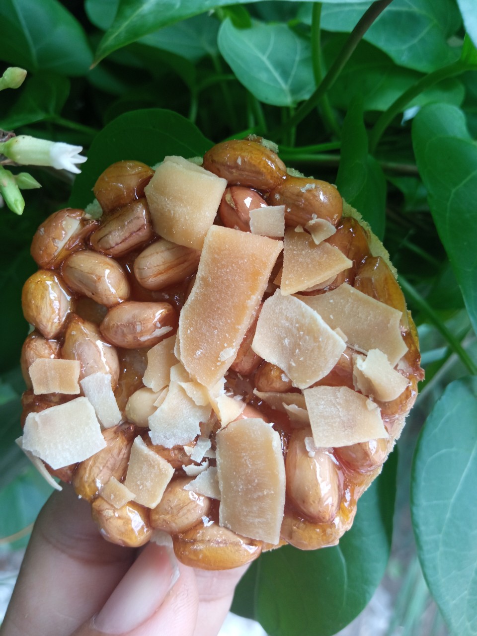 100g kẹo đậu phộng dừa sấy siêu ngon