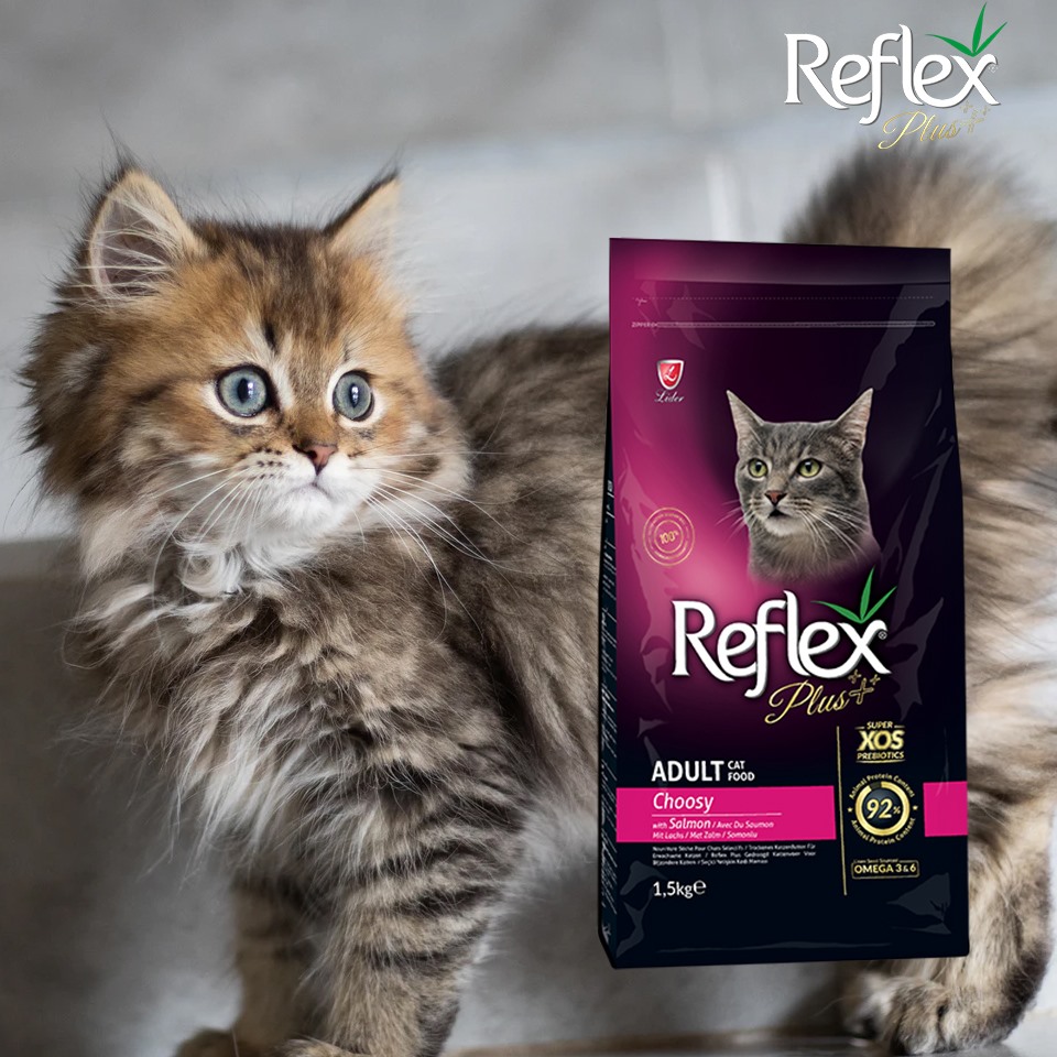 Hạt Reflex Plus cho mèo các loại túi 1,5kg