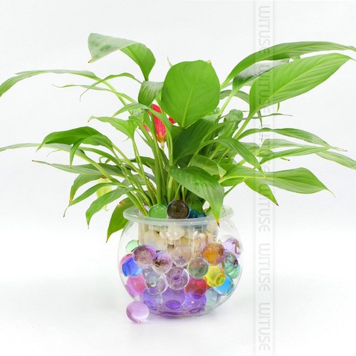 Hạt tinh thể trồng cây gói 100 viên