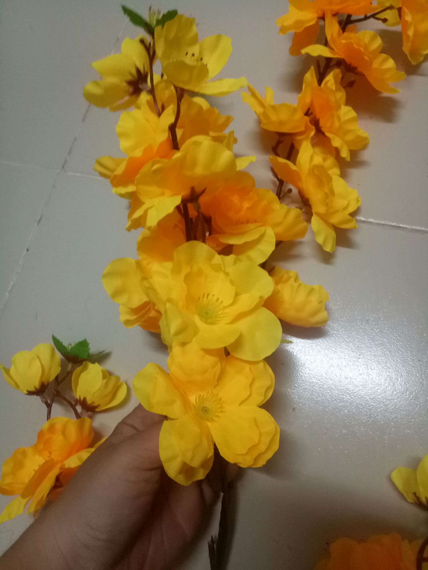 1 cành hoa mai cánh lớn - 1 mét