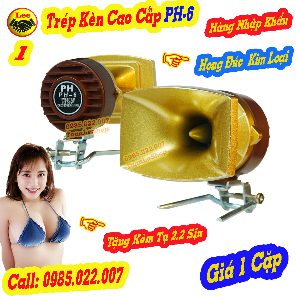 Treble ph-6 kèm chân, tặng 2 tụ 2.2 sịn, họng gang đúc mạ vàng, tiếng rất hay- hàng nhập khẩu - giá 2 loa trep ph 6 treble ph6