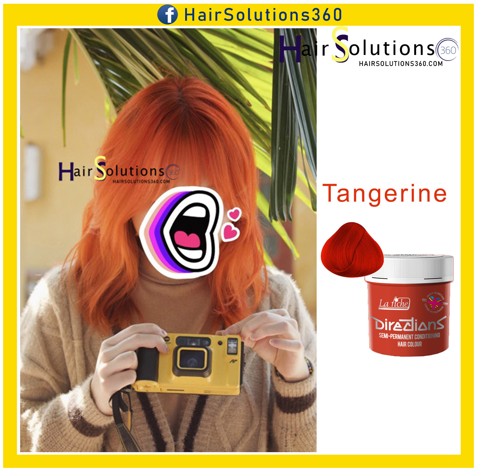 Part 1- Thuốc nhuộm tóc Lariche Direction dạng Semi-pernament - HairSolutions360 - la riche directions