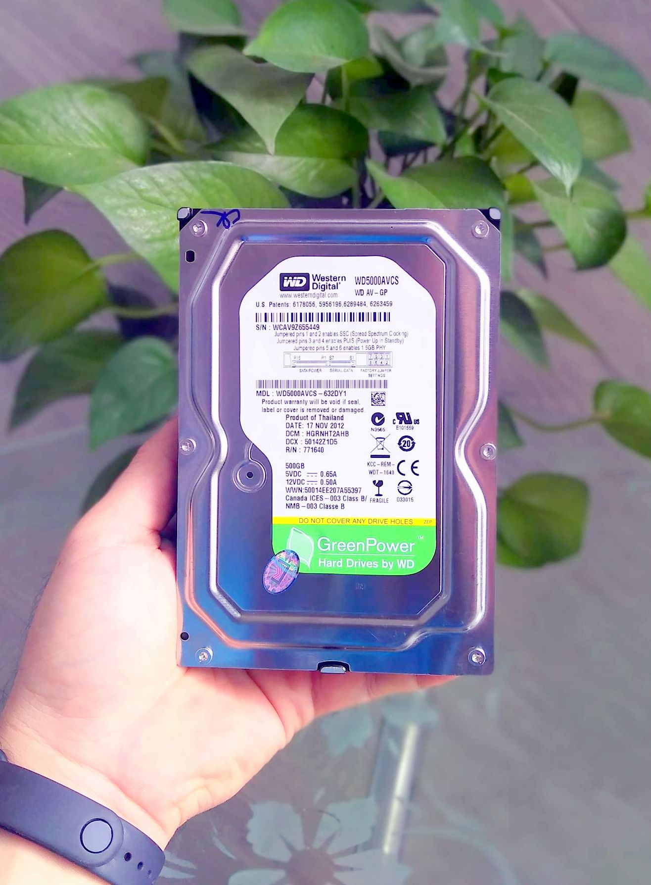 [HCM]Ổ Cứng 500gb Cũ 3.5 inch PC Western Green