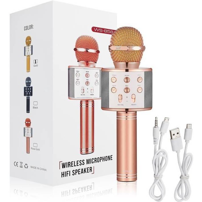Mic Hát Karaoke WS -858-Mic Bluetooth Không Dây Đa Năng
