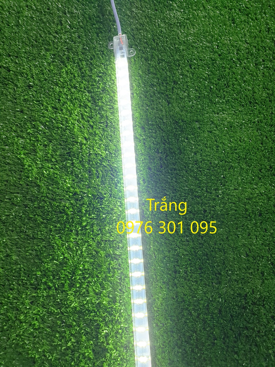 Đèn Led Thanh 50cm Nguồn AC-220V [6 Màu]