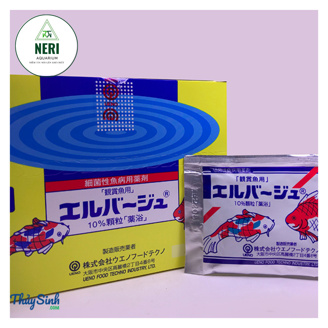 Tetra diệt nấm cho cá cảnh