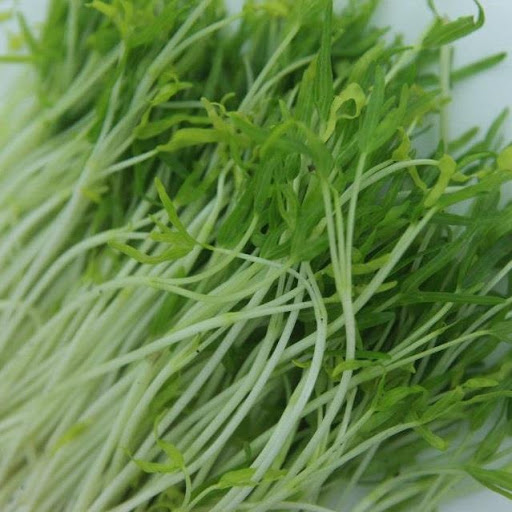 Hạt Giống Mầm Rau Muống - 50 gram