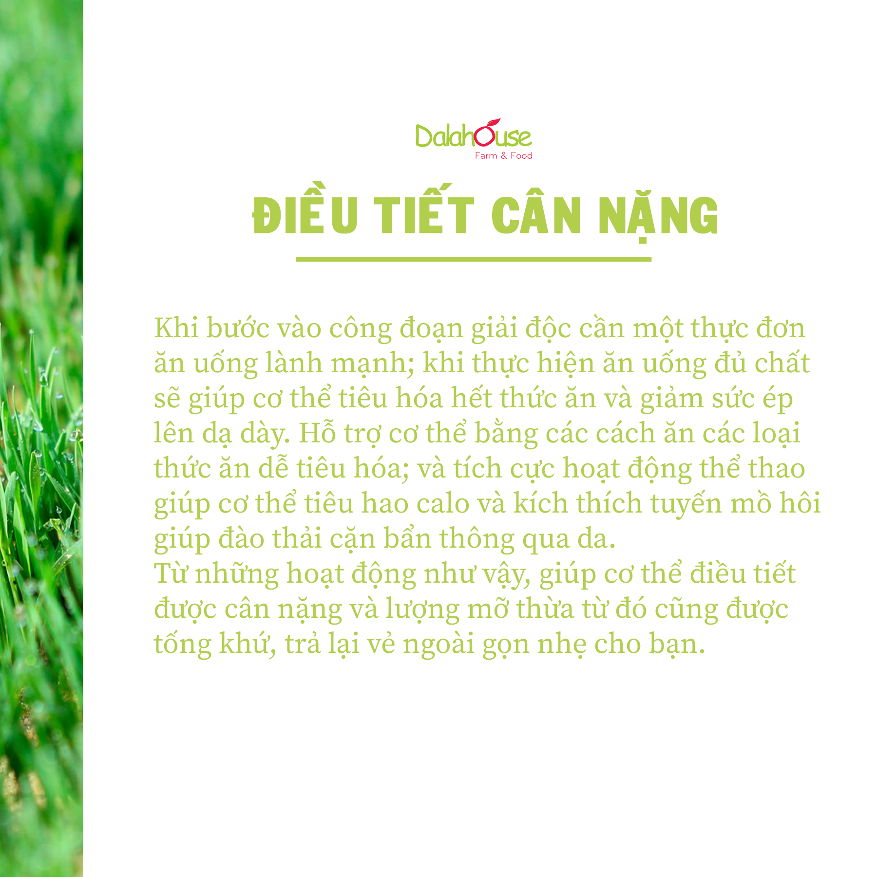 Combo Bột Rau Củ Detox Thải Độc Dalahouse 63g (21 gói * 3g * 7 vị)