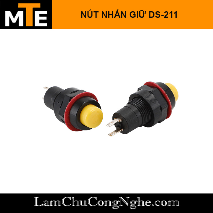 Nút nhấn giữ DS-211 10mm các màu