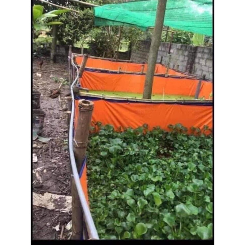 BỂ BẠT NUÔI CÁ, LƯƠN, ỐC.... ( sale xả hàng )