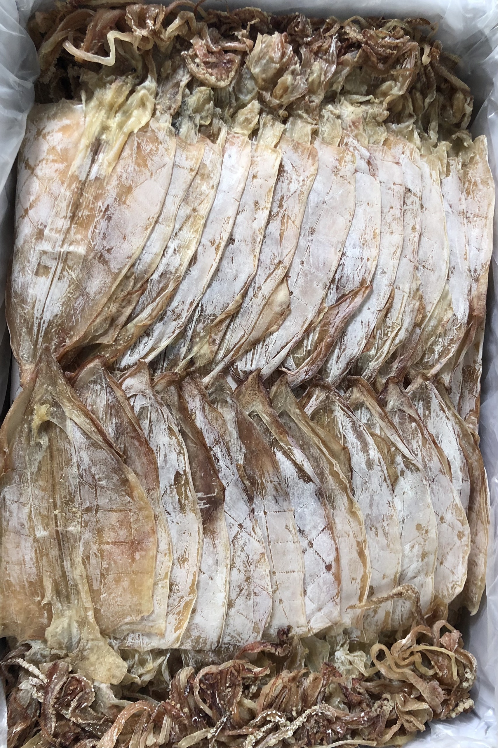 1kg Mực Khô Khánh Hòa loại 25 con