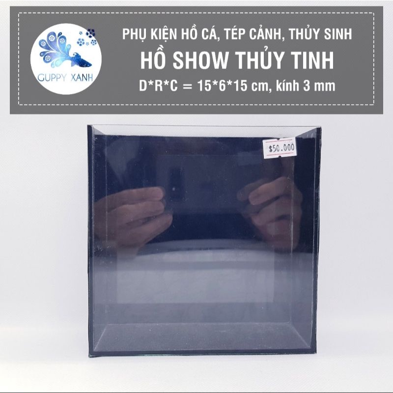 Hồ show cá betta & guppy - bể cá mini