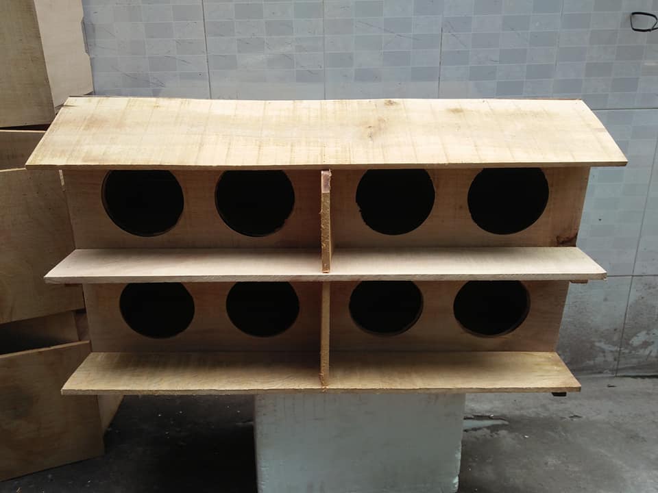 Chuồng chim bồ câu 8 Lỗ bằng gỗ