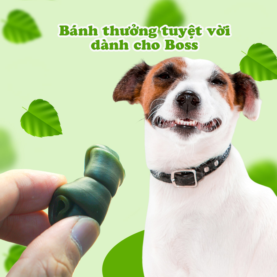 Xương Nơ Thơm Miệng Doggy Man cho chó