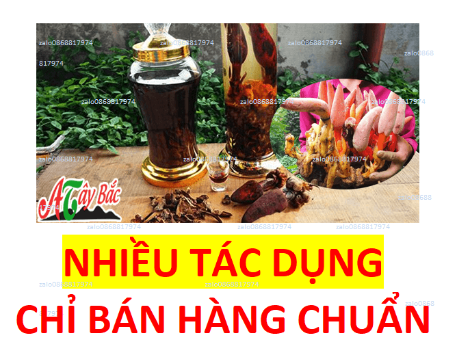 6KG NẤM NGỌC CẨU TUYẾT SƠN+KHẮC PHỤC-SINH_LÍ+BỔ THẬN TRÁNG DƯƠNG+TRÁNG ÂM NAM+NỮ_TĂNG TRÍ-NHỚ-BỒI BỔ-SỨC KHỎE NNCK 1.1