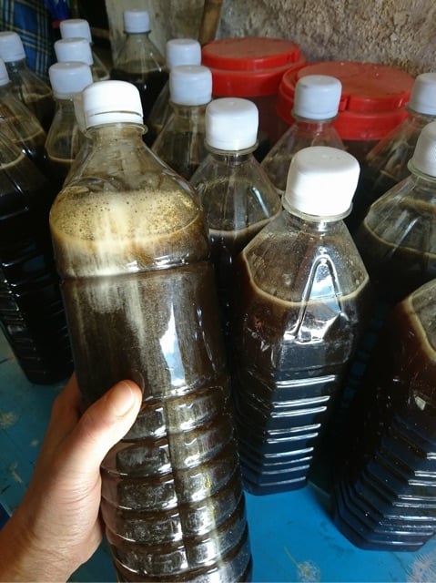 1lít Mật ong đắng - Mật ong đen