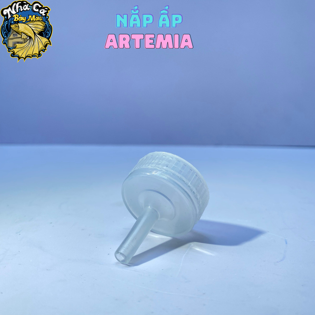 Nấp ấp artemia, dụng cụ ấp nở artemia