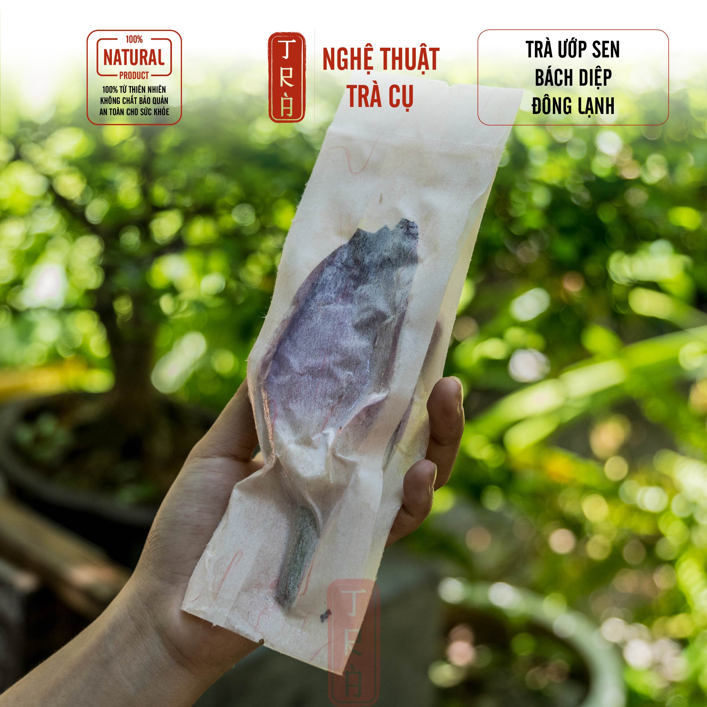 Trà ướp sen bách diệp, trà sen, 1 gói 1 búp