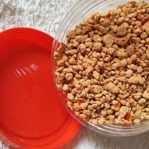 1Kg Muối tôm tây ninh