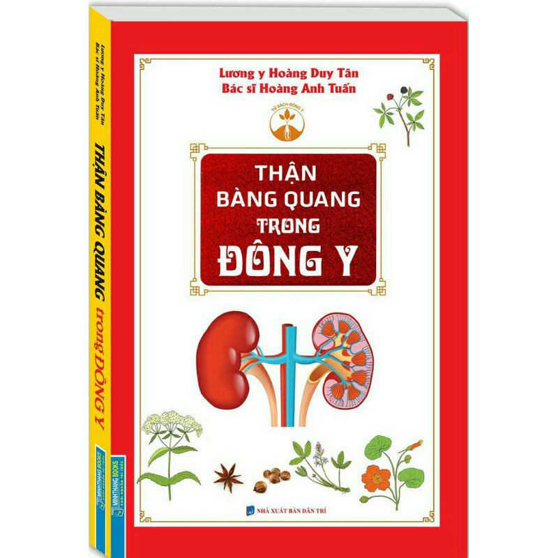 Thận bàng quang trong Đông Y
