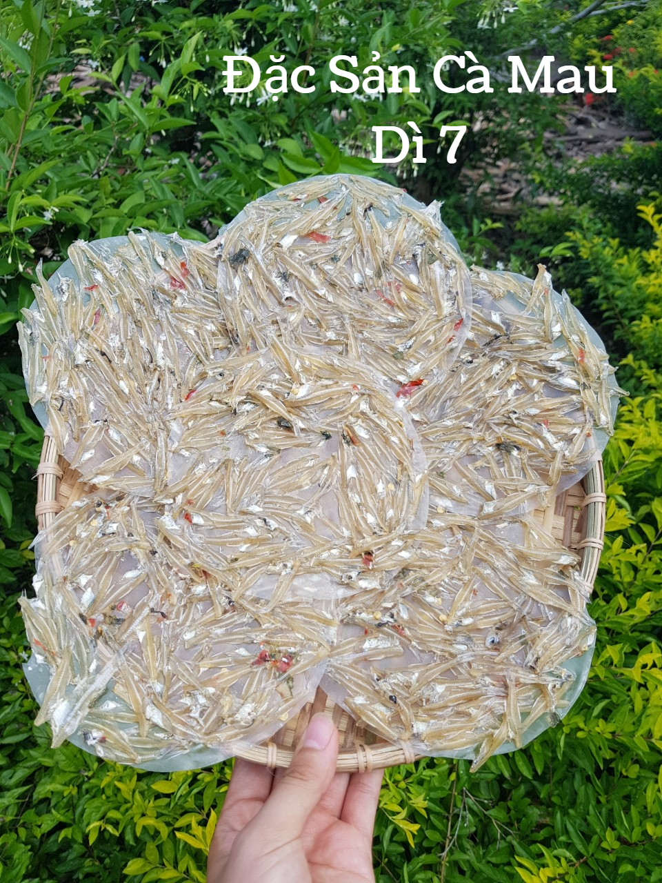 [SP dùng thử] 100GRAM Bánh tráng cá cơm Cà Mau loại đặc biệt