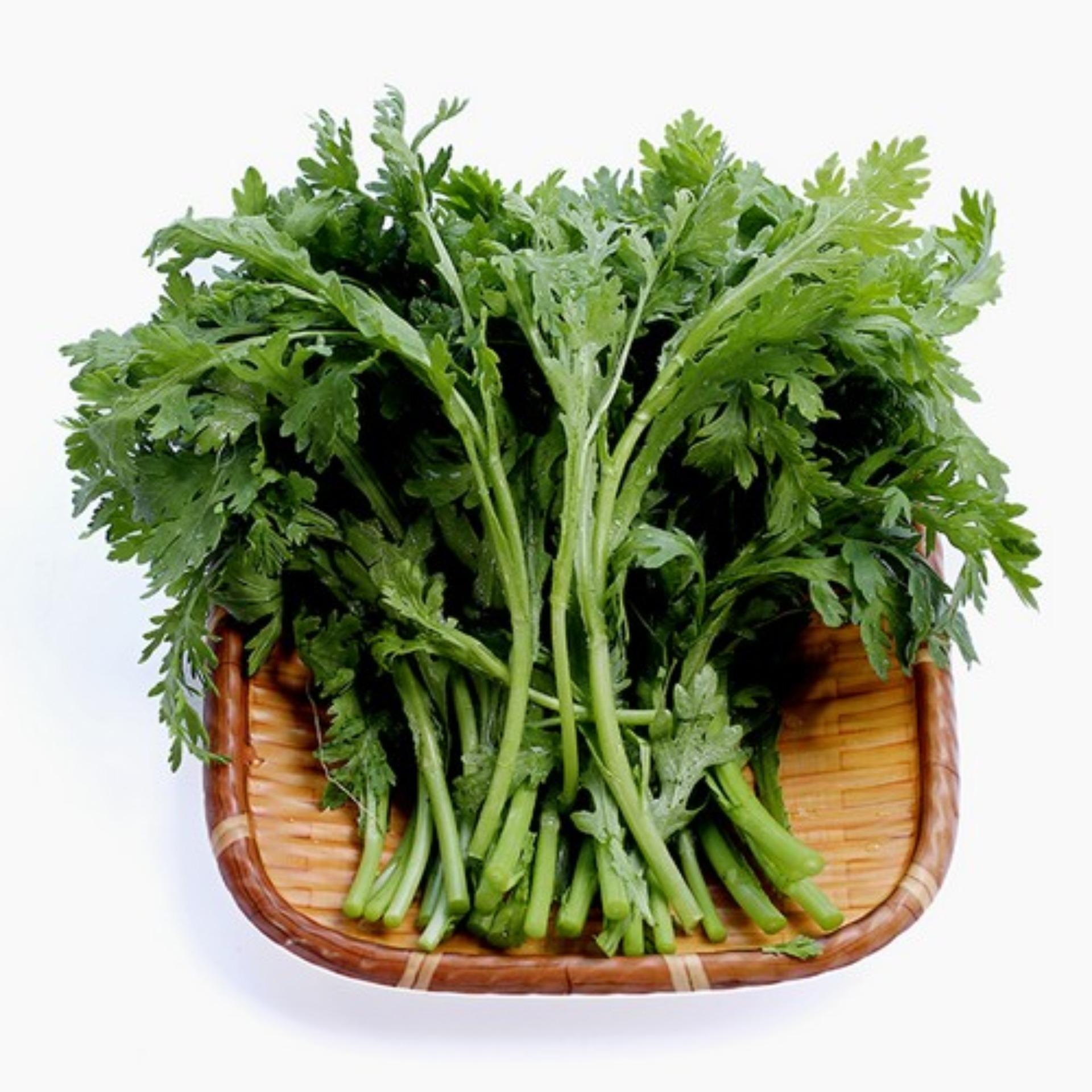 20g Hạt giống Rau tần ô