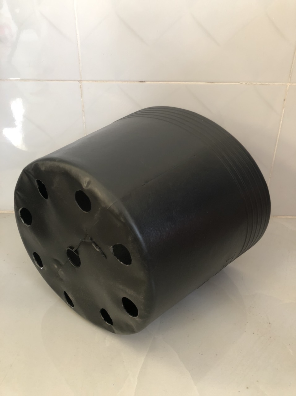 Chậu nhựa trồng cây 100 cái C8 đen