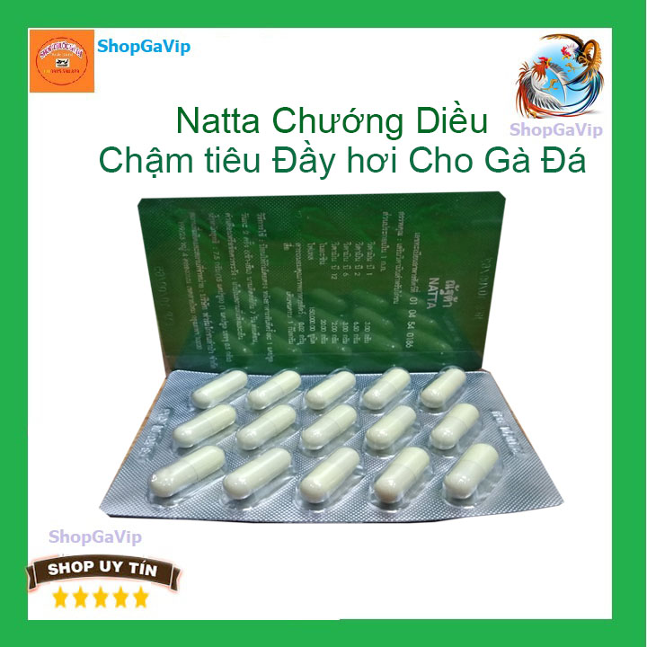 Gillo LamPam 20ml cho gà đá Khò khè, phân trắng, phân xanh [SHopGaVip]