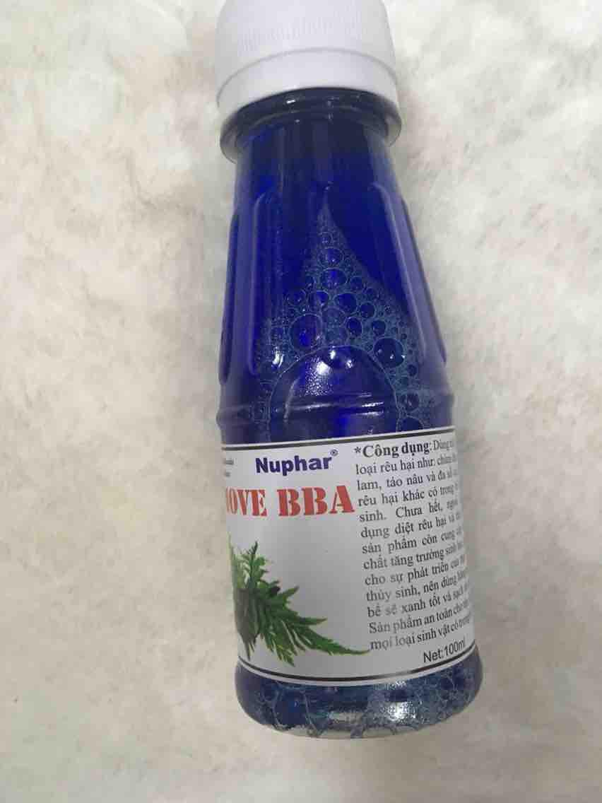 [HCM]Diệt rêu hại cho bể tép hồ thuỷ sinh Remove BBA Nuphar